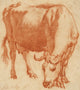 A Cow Grazing fine art print by Adriaen van de Velde, peaceful rural landscape