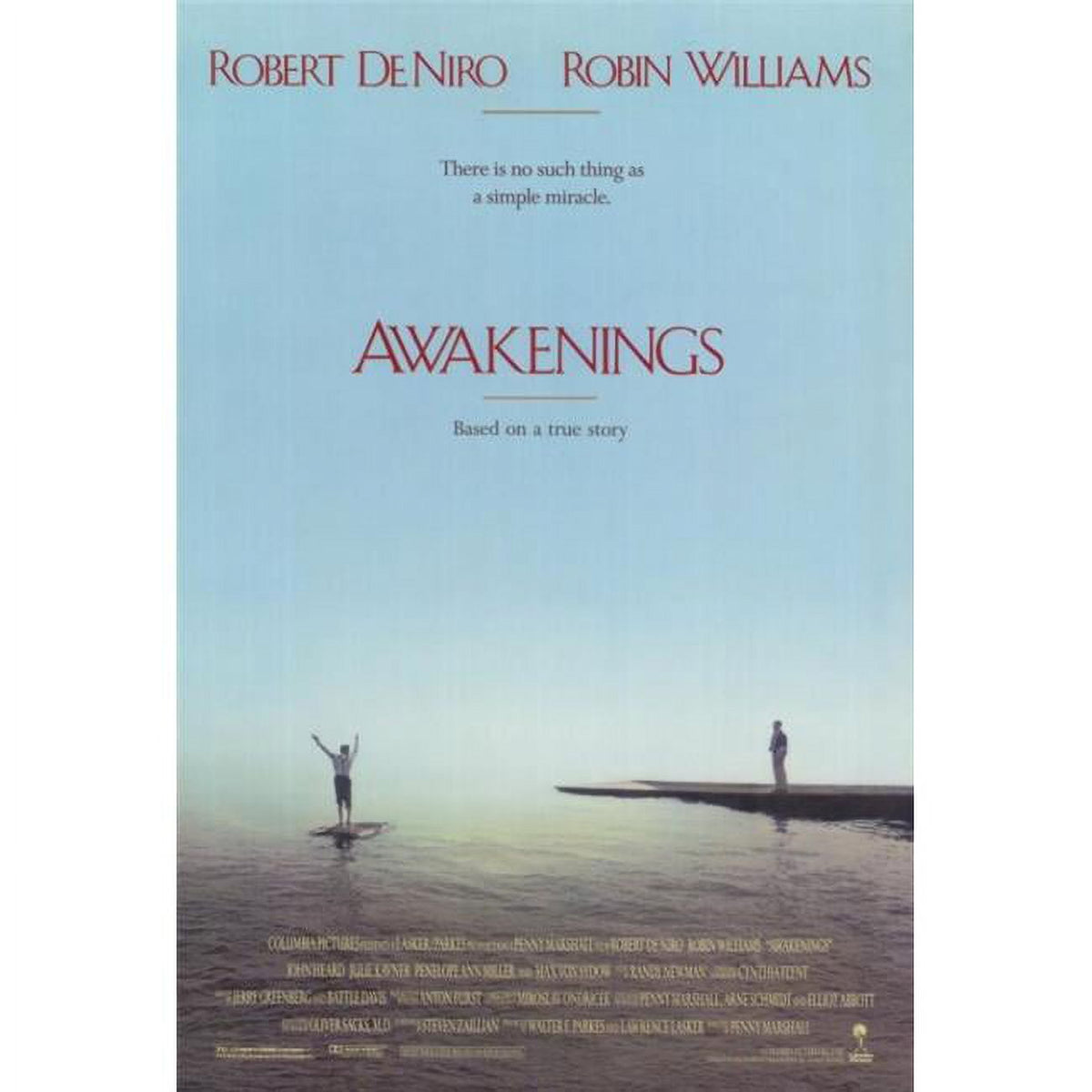 Awakenings Movie Poster Print - 27 x 40, nostalgic film art.