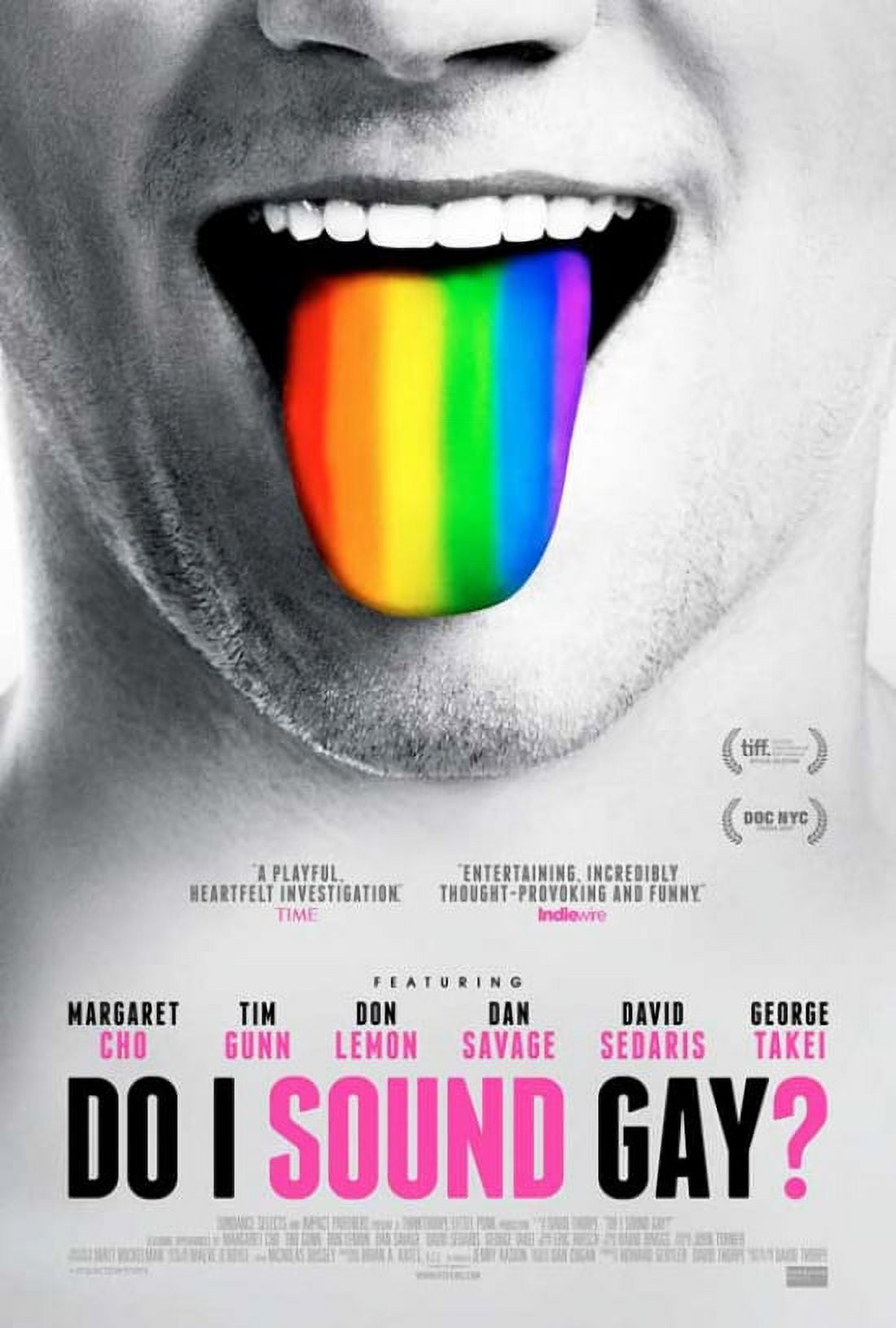 Do I Sound Gay? Movie Poster Print 27x40