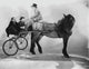 Marx Brothers classic portrait photo print riding horse