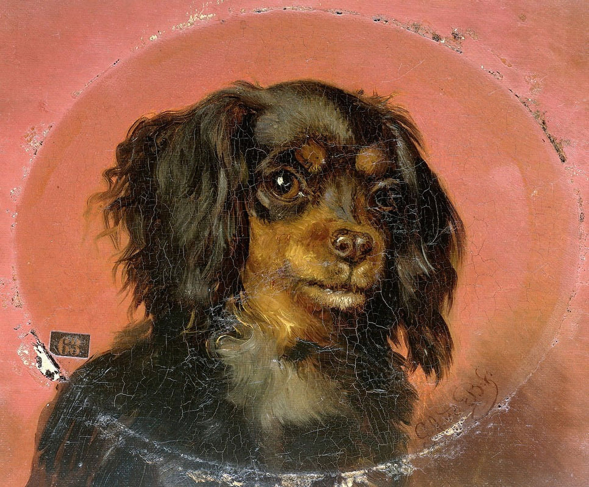 Portrait of a Puppy art print by Guillaume Anne van der Brugghen, charming dog artwork.