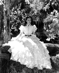 Gone with The Wind classic movie photo print