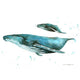 Humpback Whales Poster Print by Sarah Stribbling, showcasing the beauty of marine life.