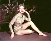 Anne Francis Gold Outfit Photo Print - Vintage Hollywood