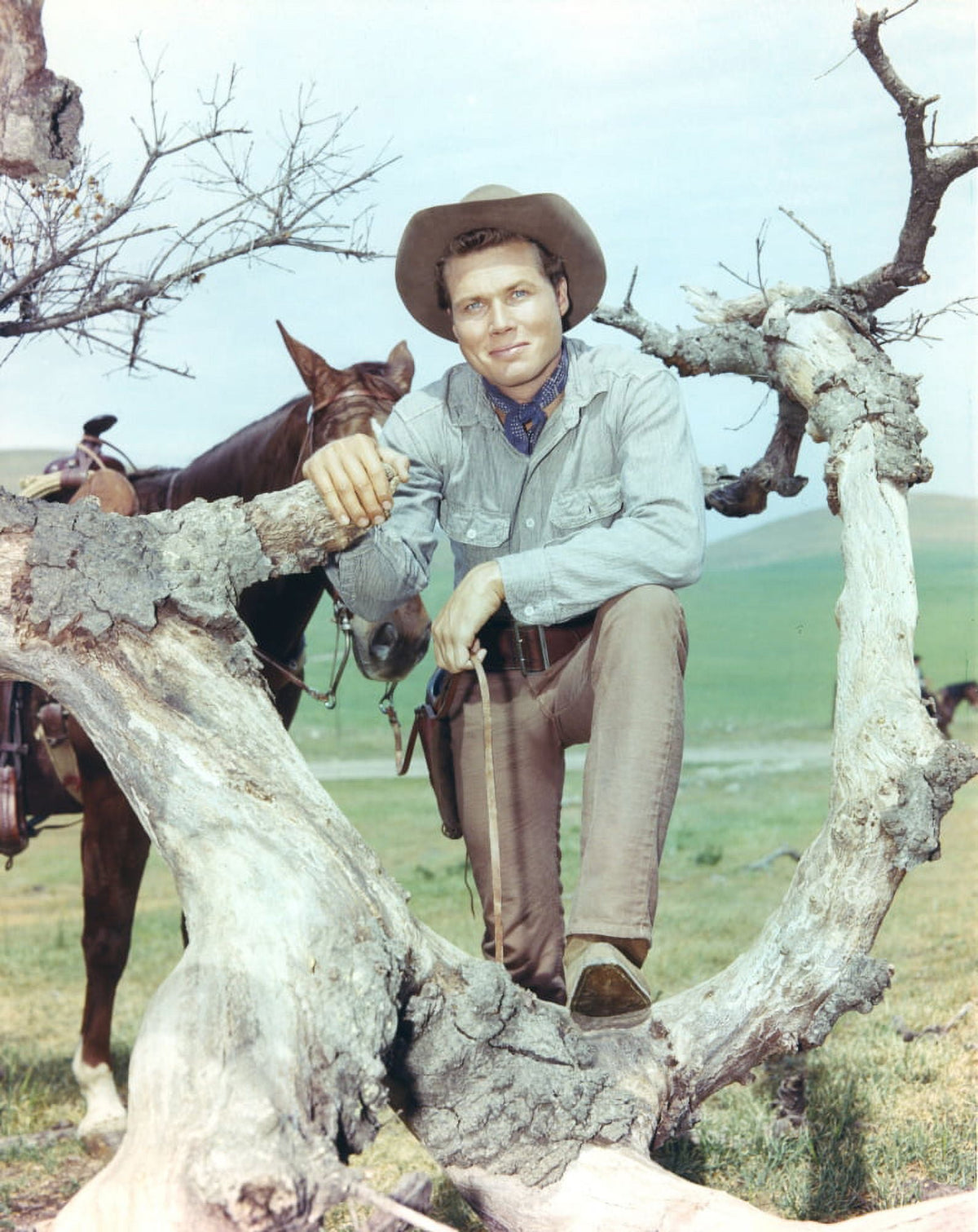 Laramie cast posed on a tree branch in cowboy outfits photo print