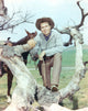 Laramie cast posed on a tree branch in cowboy outfits photo print