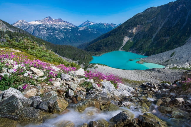 Meltwater stream flowing past wildflowers into Upper Joffre Lake in British Columbia