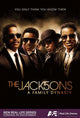 The Jacksons A Family Dynasty Movie Poster 11x17