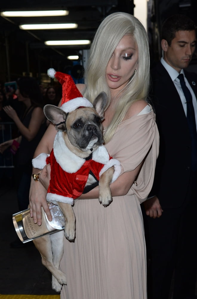 Lady Gaga at Billboard Women in Music event photo print
