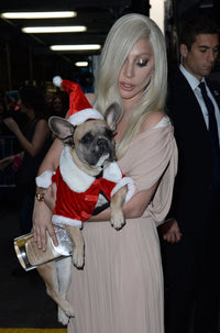 Lady Gaga at Billboard Women in Music event photo print
