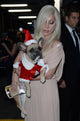 Lady Gaga at Billboard Women in Music event photo print