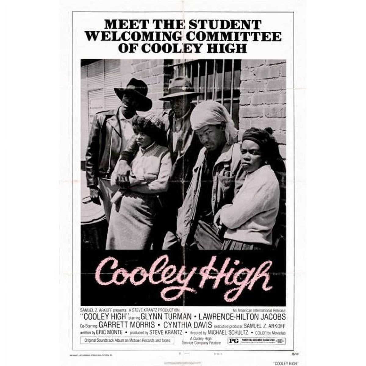 Cooley High Movie Poster Print 27x40