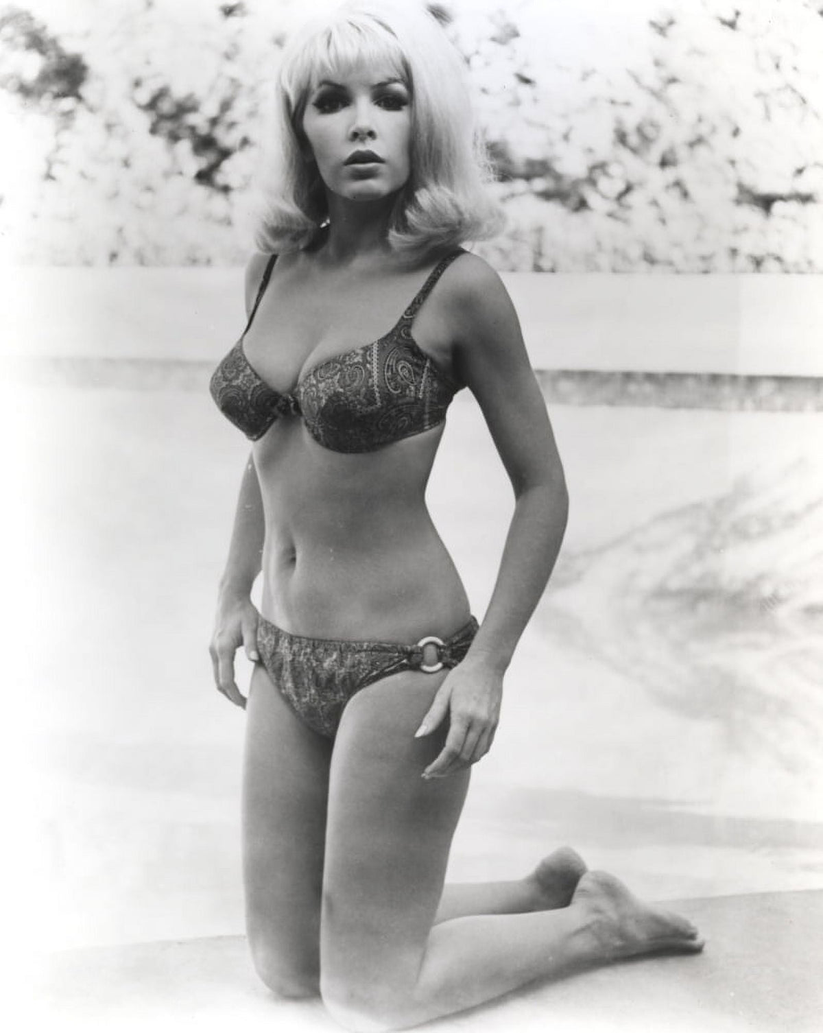 Stella Stevens kneeling on sand in a black and white bikini photo print