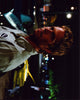 Paul Walker 2 Fast 2 Furious photo print showcasing action scene