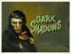 Dark Shadows TV series movie poster 8x10 print