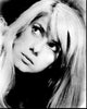 Close-up black and white photo print of Catherine Deneuve.