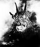 'Night (Curse of The Demon) 1957 Photo Print - Classic Horror'