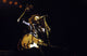 Bob Marley performing live on stage photo print.