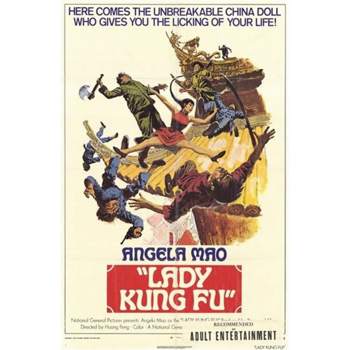 Lady Kung Fu Movie Poster 11x17 print showcasing martial arts action