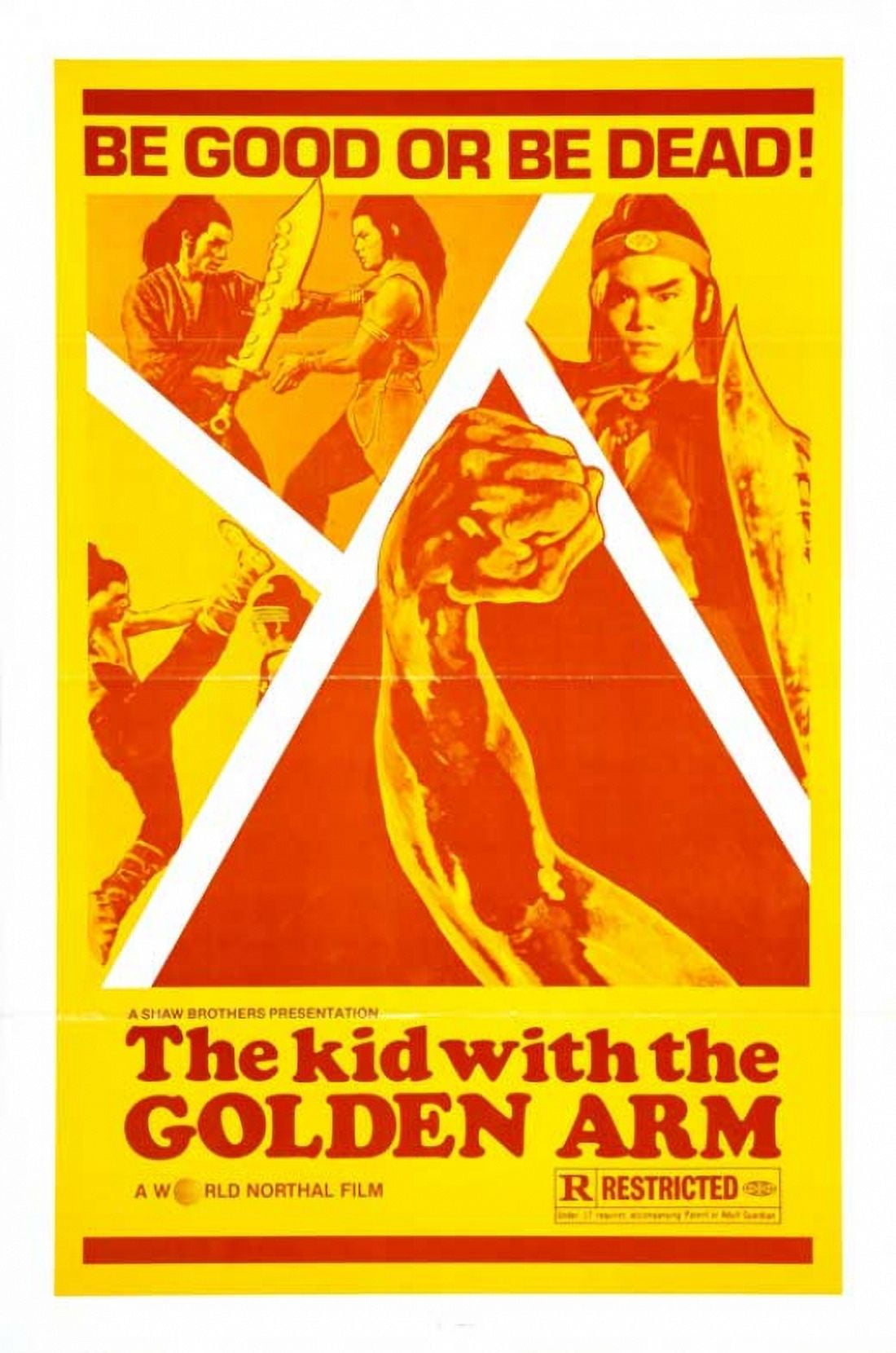 The Kid with the Golden Arm Movie Poster - 11x17 print