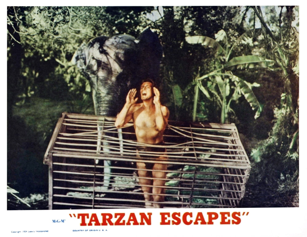 Tarzan Escapes Still Poster Print - Adventure Artwork