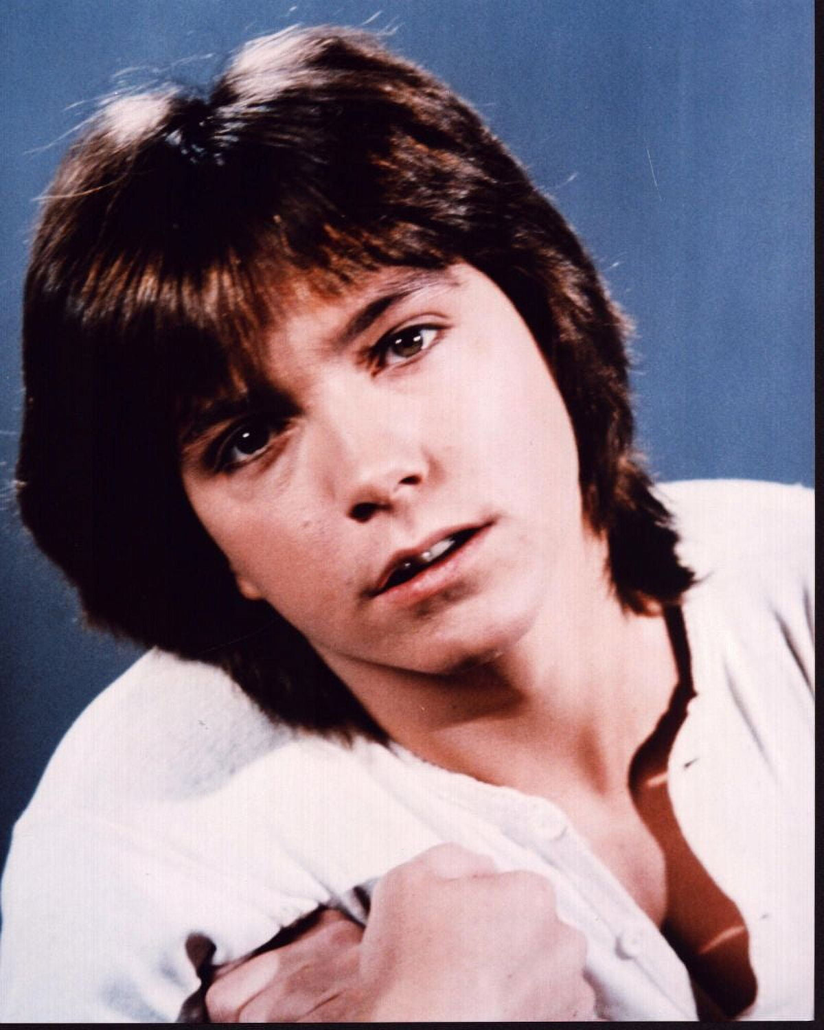 David Cassidy headshot photo print, available in multiple sizes.
