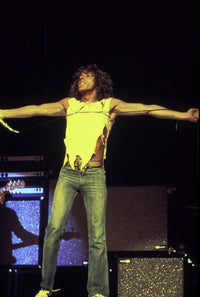 Roger Daltrey on stage The Who Photo Print (8 x 10)