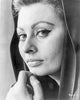Sophia Loren classic photo print in multiple sizes.
