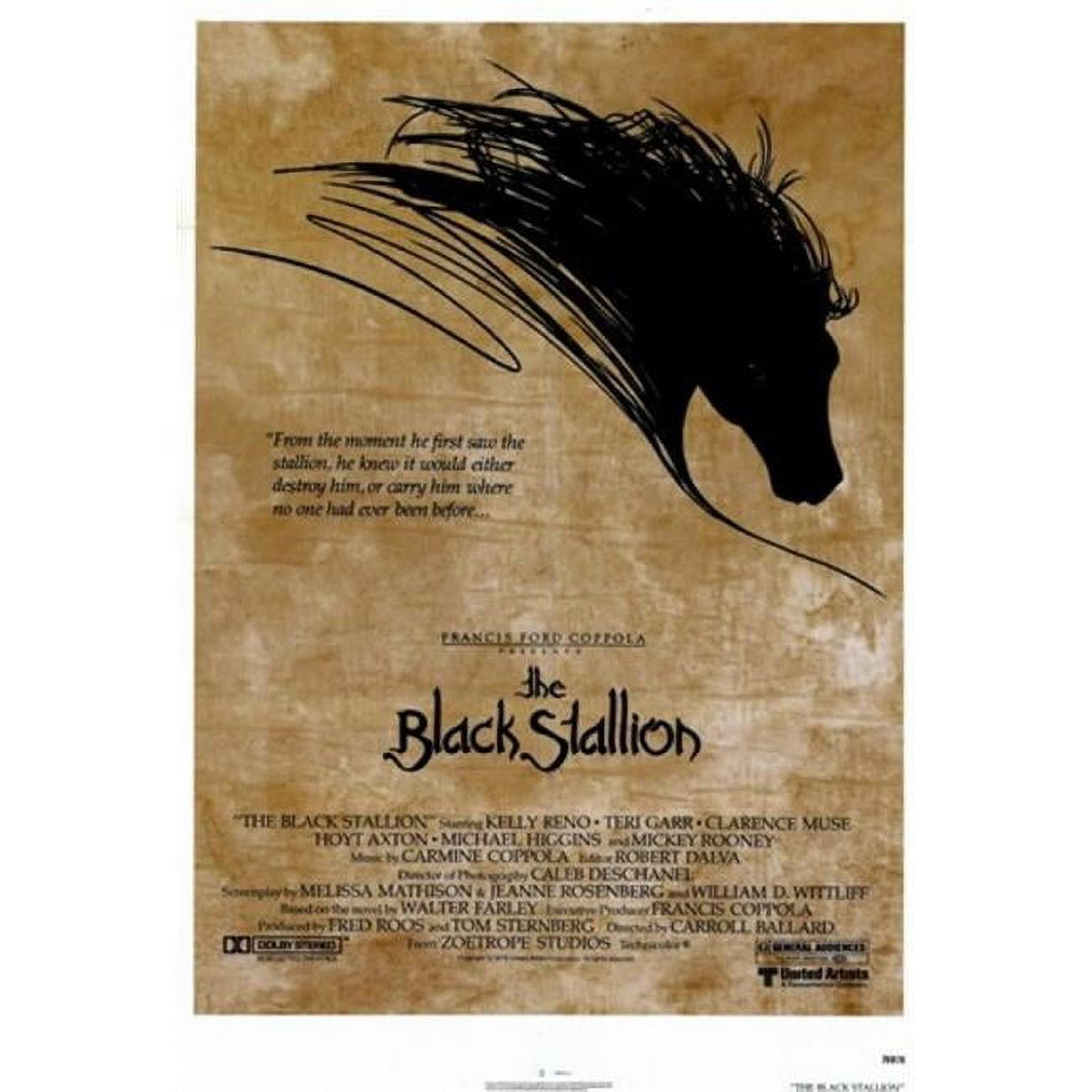 Black Stallion Movie Poster 11x17 - Captivating film art