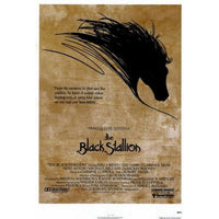 Black Stallion Movie Poster 11x17 - Captivating film art