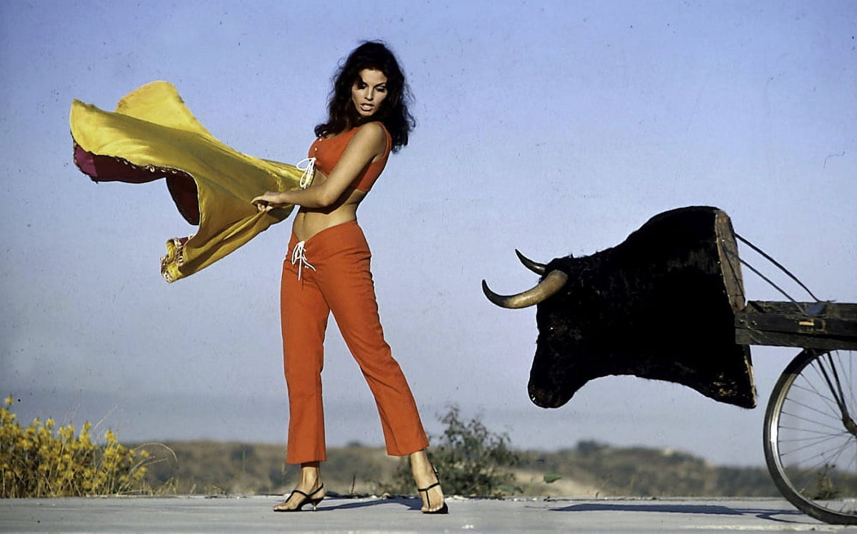 Raquel Welch Bull Fighting Photo Print in 10x8 and 16x20 sizes.