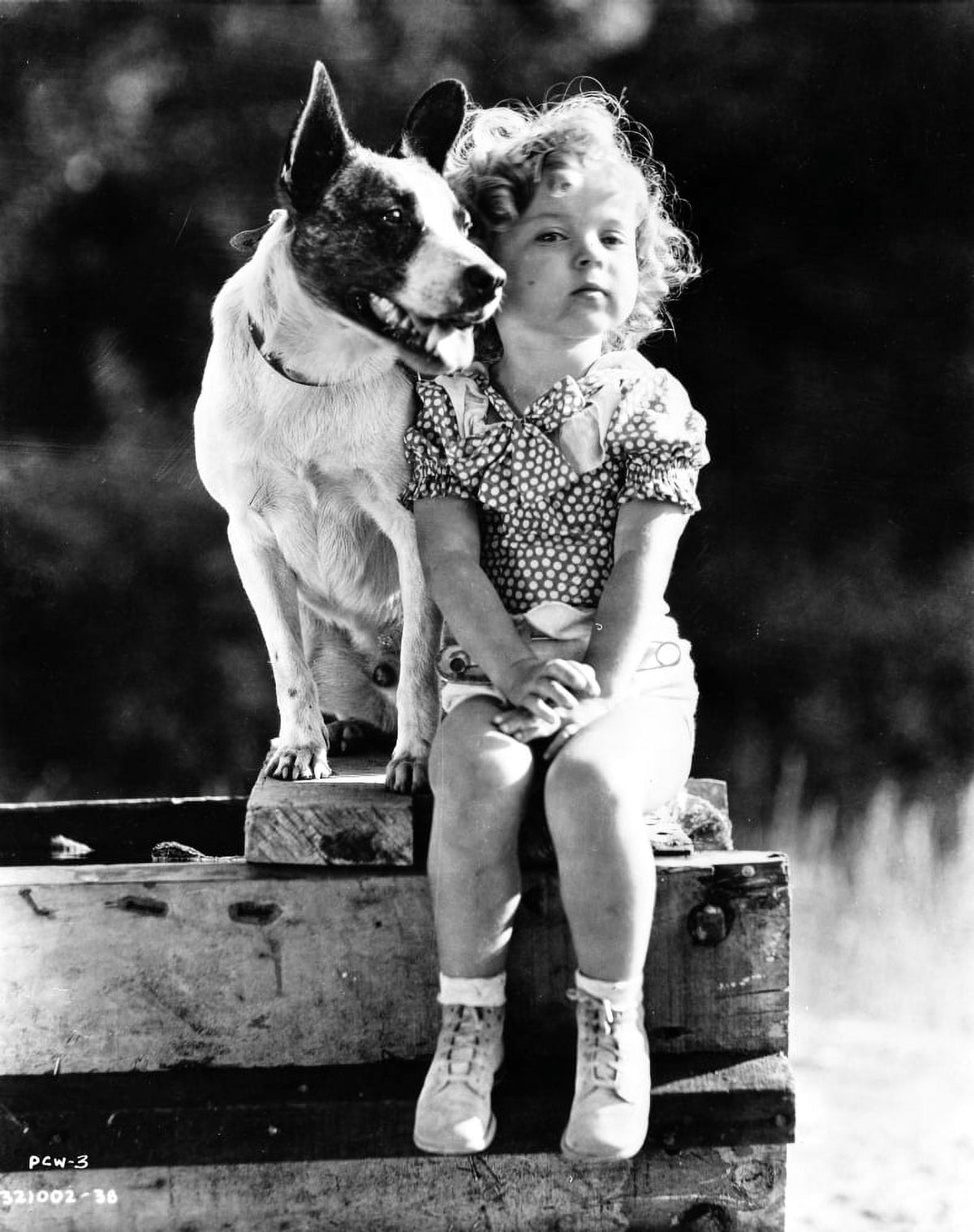 Shirley Temple classic portrait photo print with dog