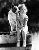 Shirley Temple classic portrait photo print with dog