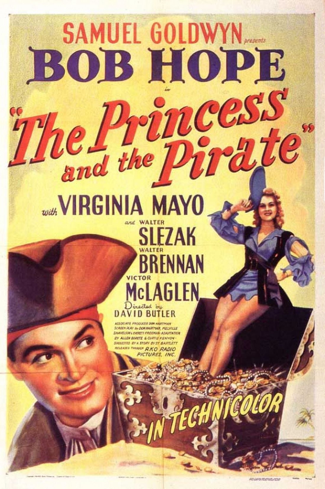 The Princess and the Pirate Movie Poster 11x17