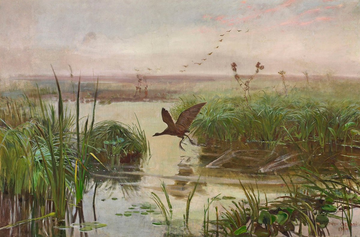Common Moorhen art print by Jozef Chelmonski, showcasing a detailed depiction of the aquatic bird.