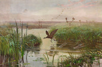 Common Moorhen art print by Jozef Chelmonski, showcasing a detailed depiction of the aquatic bird.