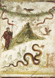 Bacchus and Vesuvius Poster Print showcasing scenic artwork.