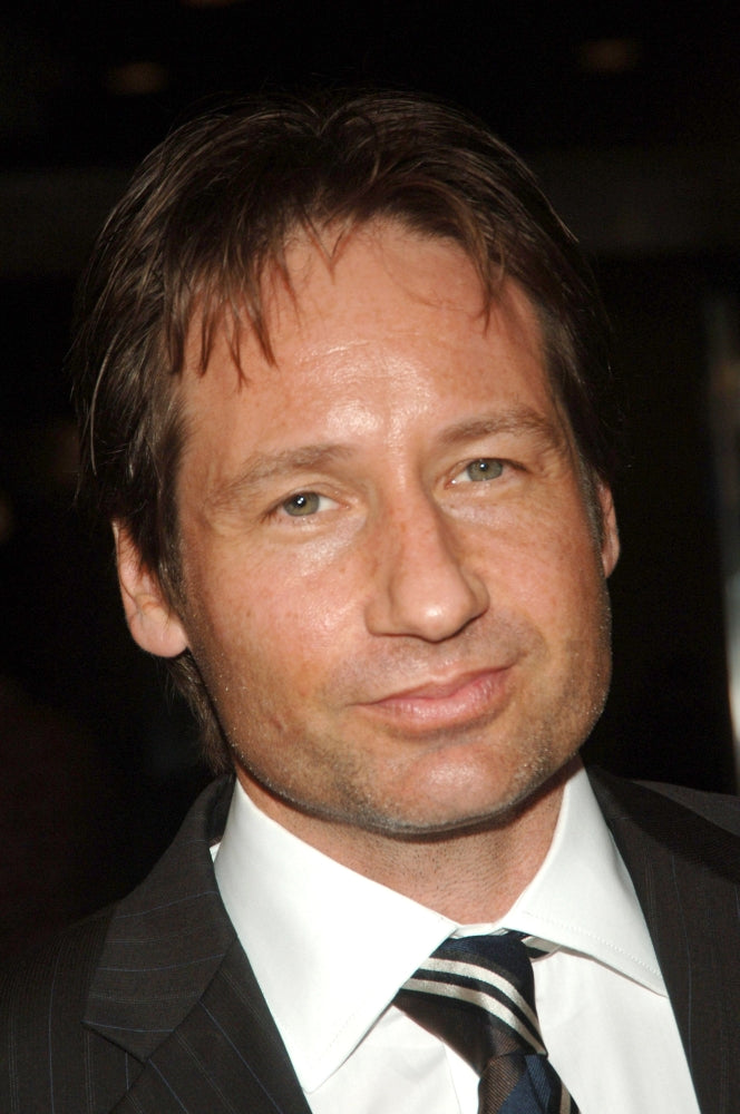 David Duchovny at Trust The Man Premiere Photo Print