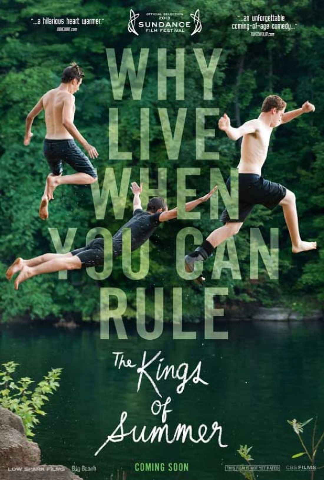 The Kings of Summer movie poster print showing vibrant colors and adventurous spirit.