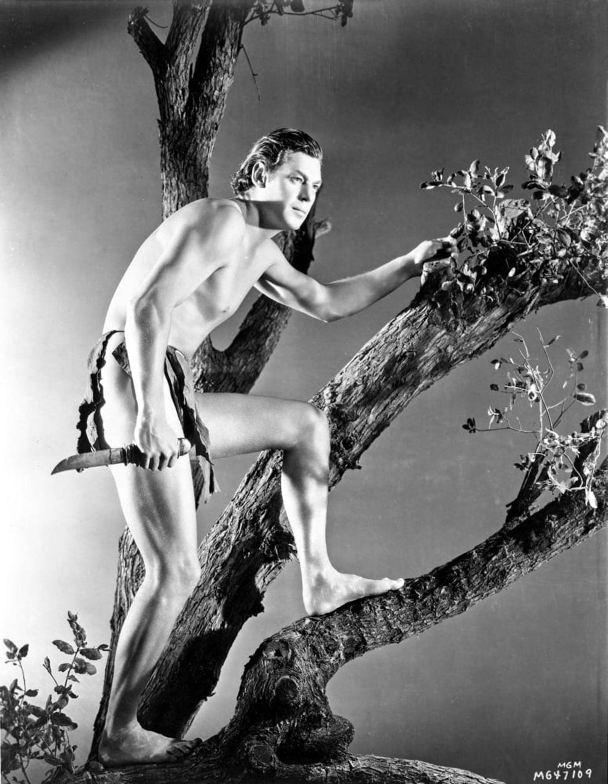 Johnny Weissmuller climbing a tree in a classic movie scene photo print.