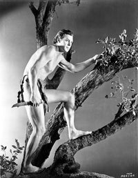 Johnny Weissmuller climbing a tree in a classic movie scene photo print.
