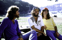 The Bee Gees park photo print showcasing the iconic trio.