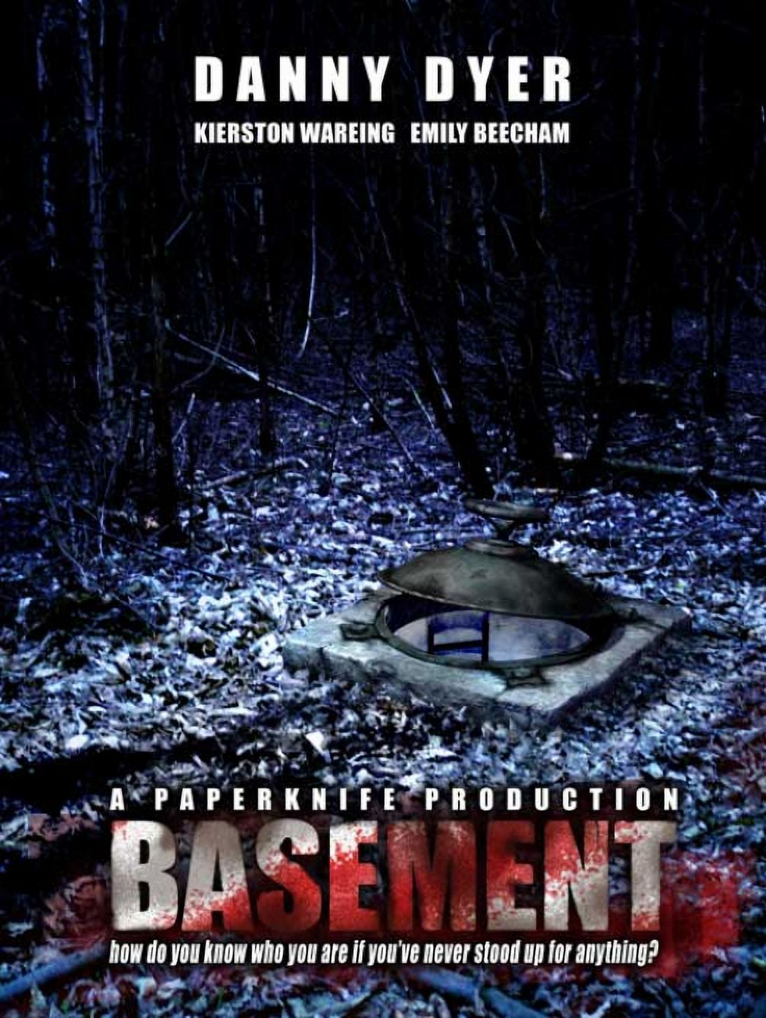 Basement Movie Poster 11x17 print for home décor