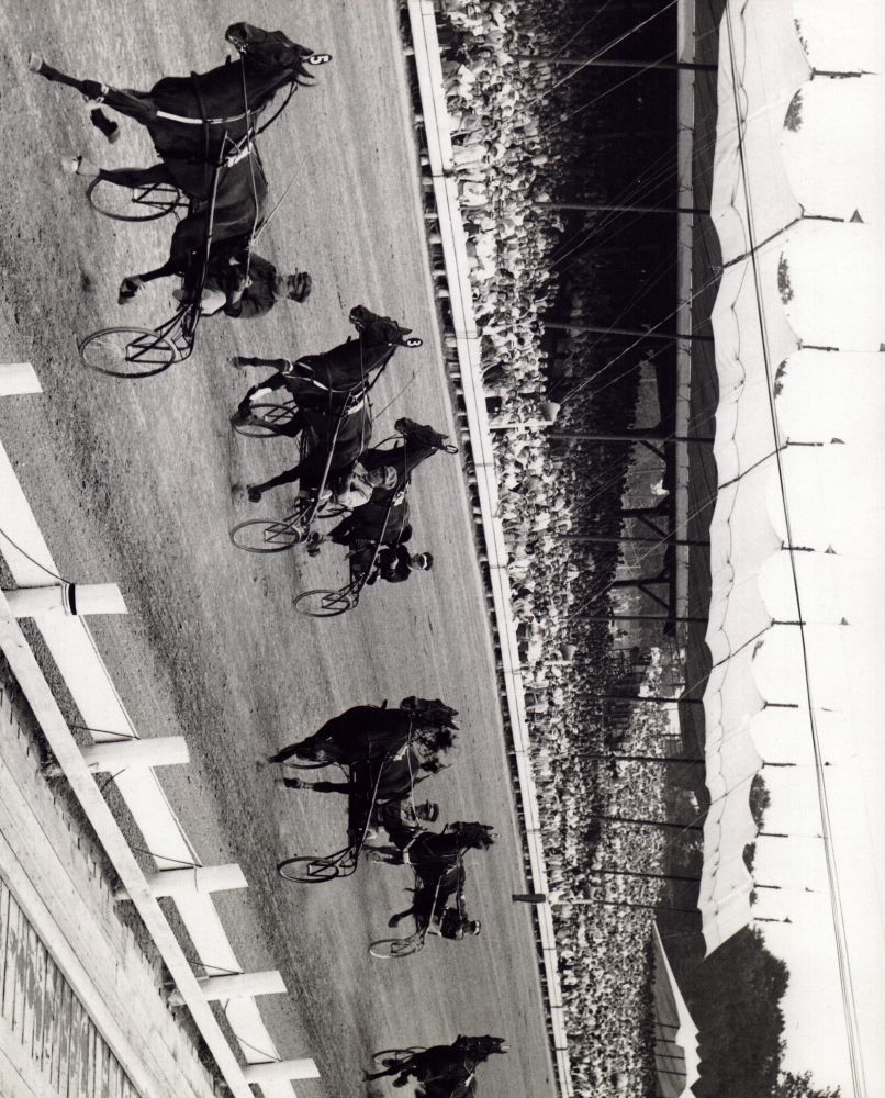 Harness Horse Racing Photo Print showcasing racing horses in action.