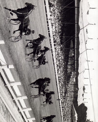 Harness Horse Racing Photo Print showcasing racing horses in action.