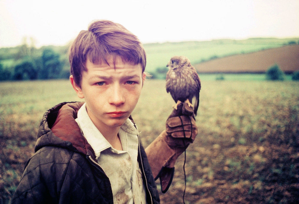 Kes David Bradley 1969 photo poster print in multiple sizes
