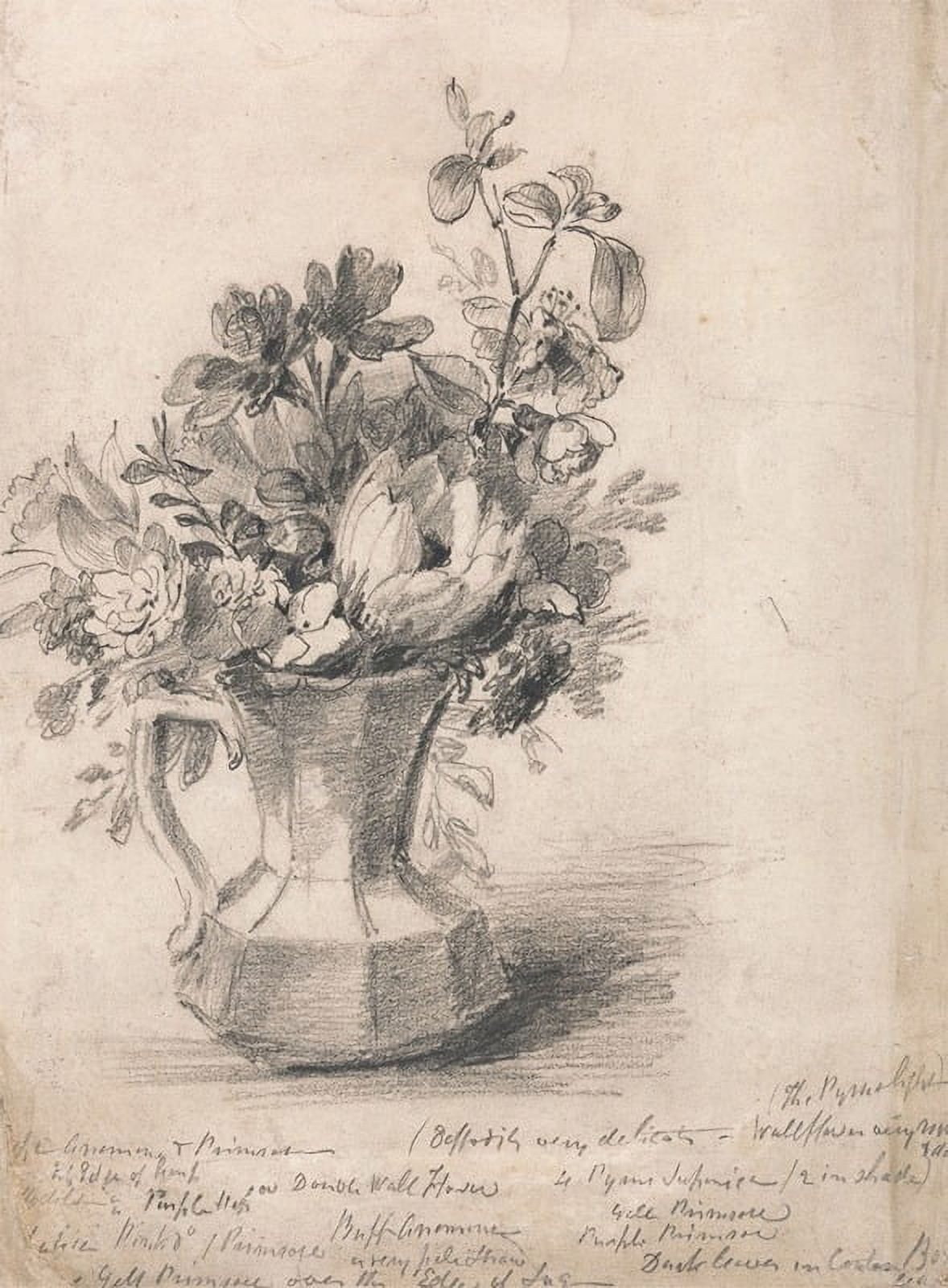 Flowers in a Pitcher Art Print by John Constable, vibrant floral artwork.
