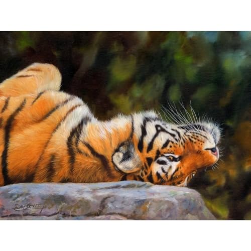 Amur Tiger Back Poster Print by David Stribbling, showcasing vibrant colors and intricate details.