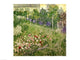 Daubigny's Garden 1890 Poster Print by Vincent Van Gogh