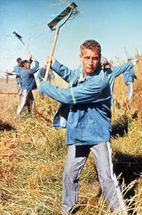 Cool Hand Luke Movie Photo Print - Available in Multiple Sizes